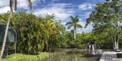 佛羅里達大沼澤地汽船探險及比斯坎灣觀光船