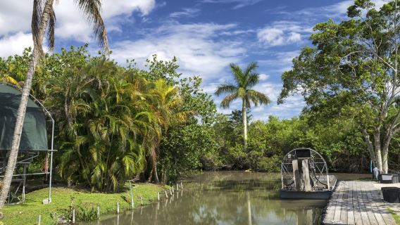 Avventura in airboat nelle Everglades e crociera nella Baia di Biscayne