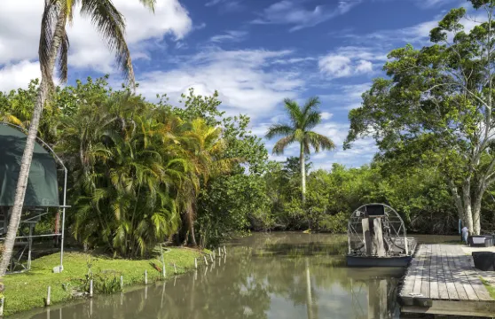 佛羅里達大沼澤地汽船探險及比斯坎灣觀光船