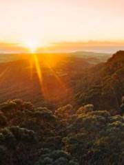 Illawarra Fly Treetop Walk