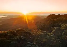Illawarra Fly Treetop Adventures