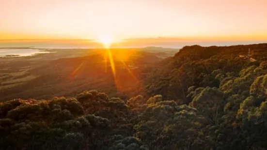 Illawarra Fly Treetop Walk