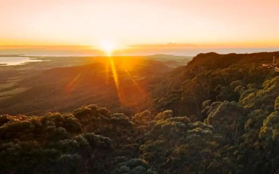 Illawarra Fly Treetop Walk