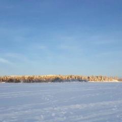 Hotel Inari User Photo