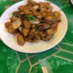 Green Bird User Photo