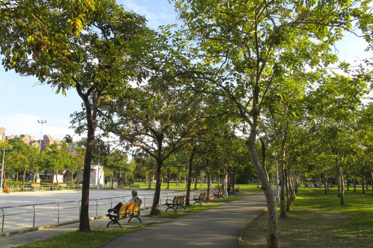 Daan Park