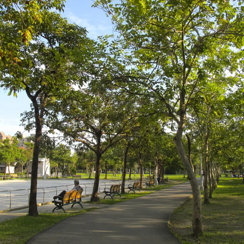 大安森林公園