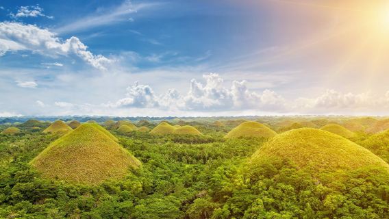 Excursion d'une journée dans la campagne de Bohol : Chocolate Hills, rivière Lobo, Tarsier, église et forêt artificielle