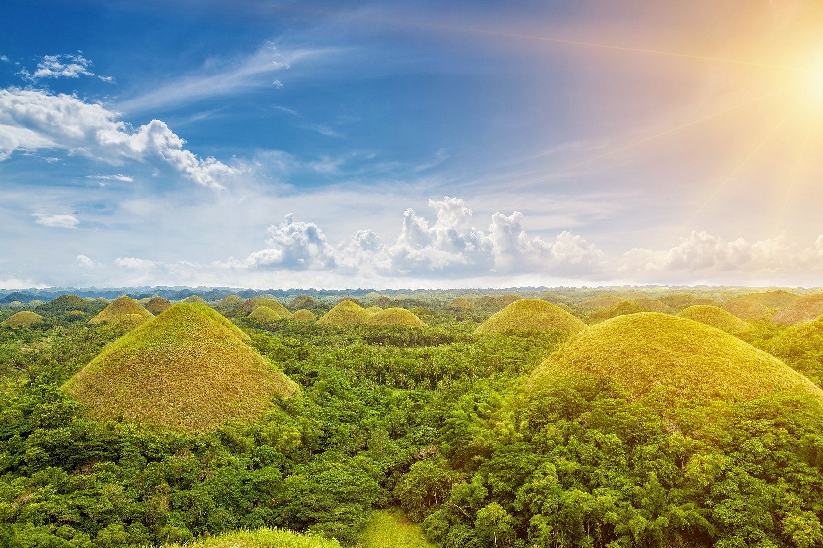 Bohol Countryside Day Tour: Chocolate Hills, Loboc River, Tarsier, Baclayon Church & Mahogany Forest