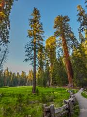 Sequoia-Nationalpark und Kings-Canyon-Nationalpark