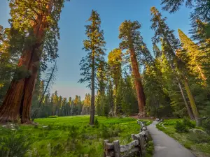 Sequoia-Nationalpark und Kings-Canyon-Nationalpark