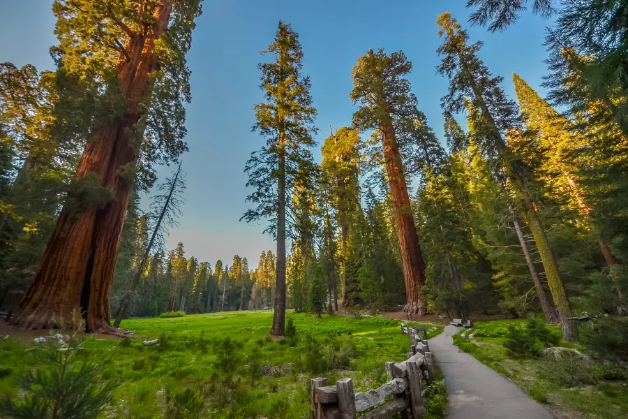 Sequoia-Nationalpark und Kings-Canyon-Nationalpark