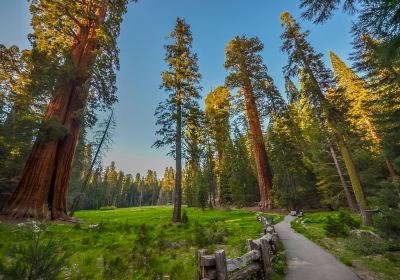 Parc national de Kings Canyon