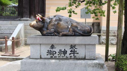 Dazaifu Tenmangu Shrine