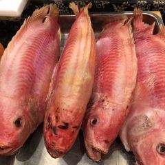 LUCHENGWANGSHI User Photo