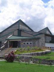 國際山嶽博物館