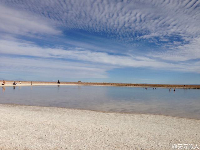 Laguna Cejar