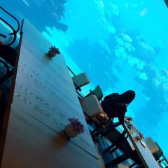 Aqua - Aquarium Restaurant User Photo