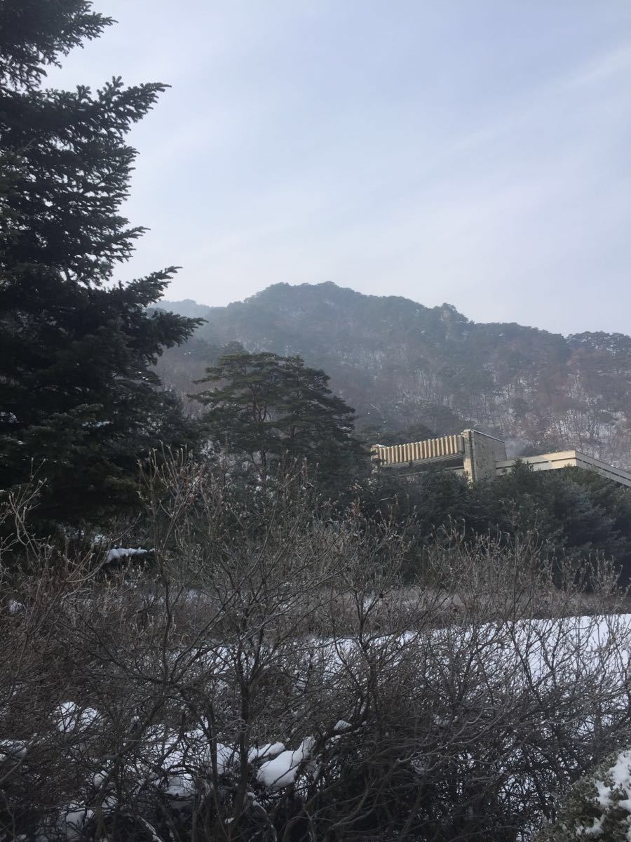 妙香山旅遊攻略指南 妙香山評價 妙香山附近推薦 Trip Com 妙香山旅遊攻略指南 妙香山評價 妙香山附近推薦 Trip Com