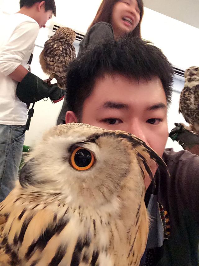 덴진바시스지 상점가