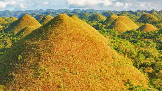 Bohol Island: tour di un giorno alle Colline di Cioccolato, fiume Loboc, tarsio, chiesa di Baclayon e foresta artificiale