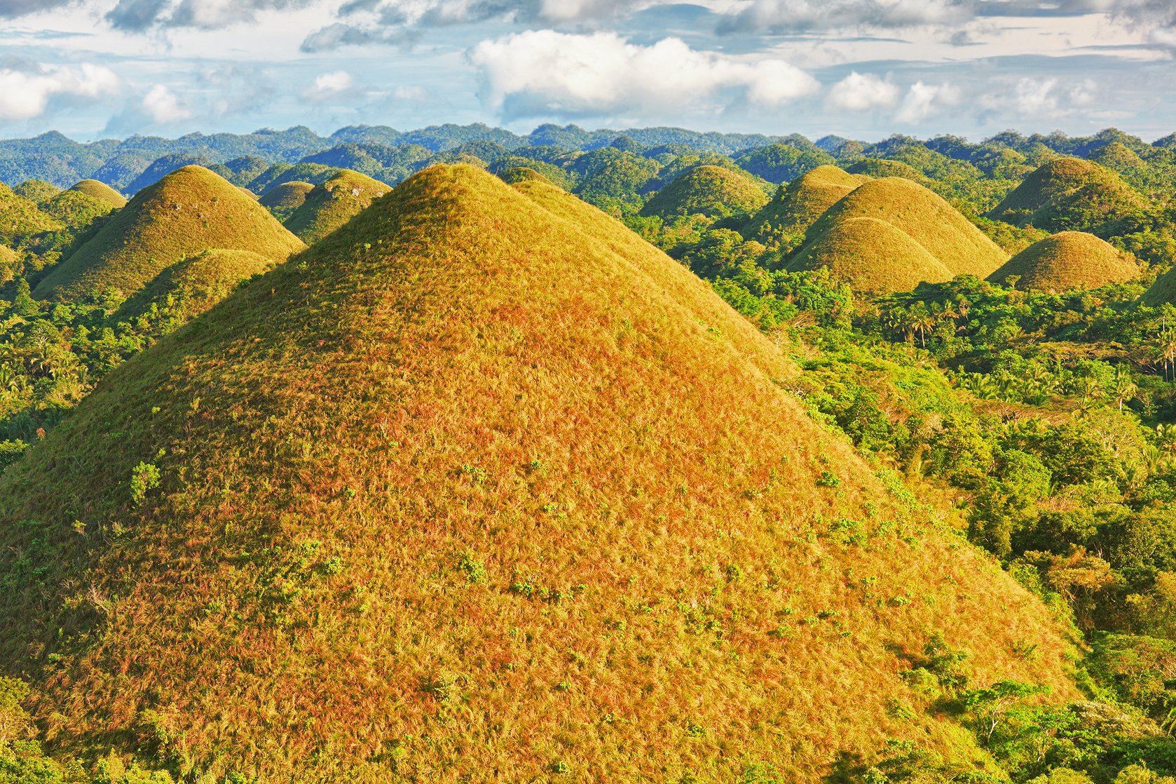 Bohol Island: Chocolate Hills + Loboc River + Tarsier + Baclayon Church + Man-Made Forest 1-day tour