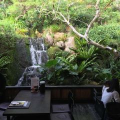 Ufuya ảnh của người dùng