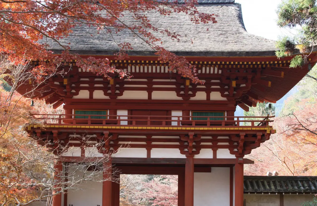 오사카 나라 여행 가스가타이샤