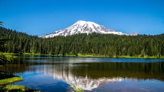 Tour giornaliero in piccoli gruppi al Parco Nazionale del Monte Rainier da Seattle