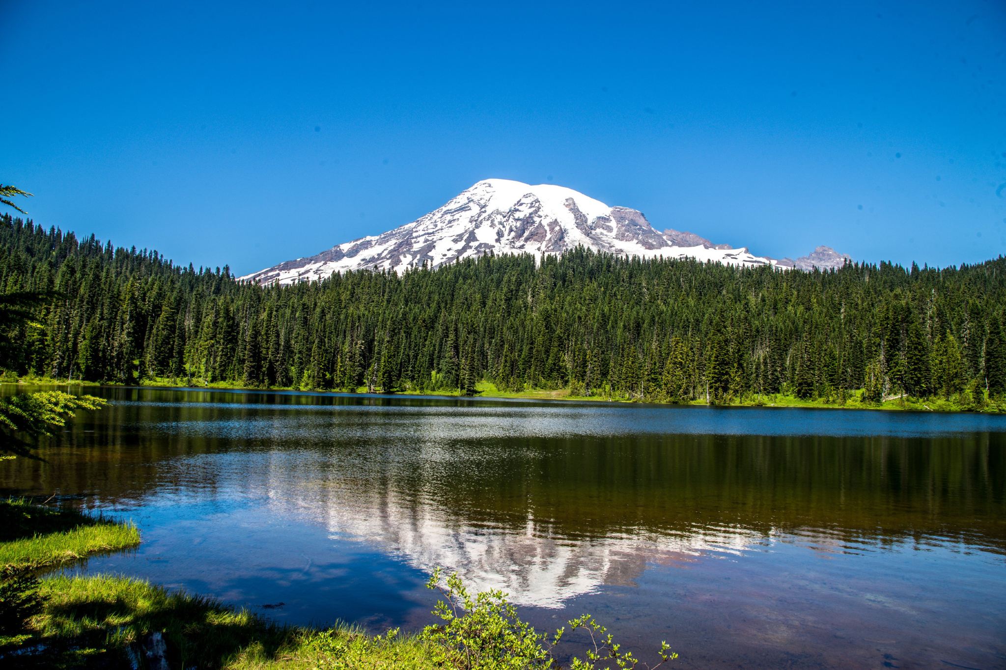 Tour giornaliero in piccoli gruppi al Parco Nazionale del Monte Rainier da Seattle