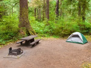 Olympic National Park