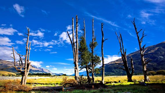 GlenorchyTours