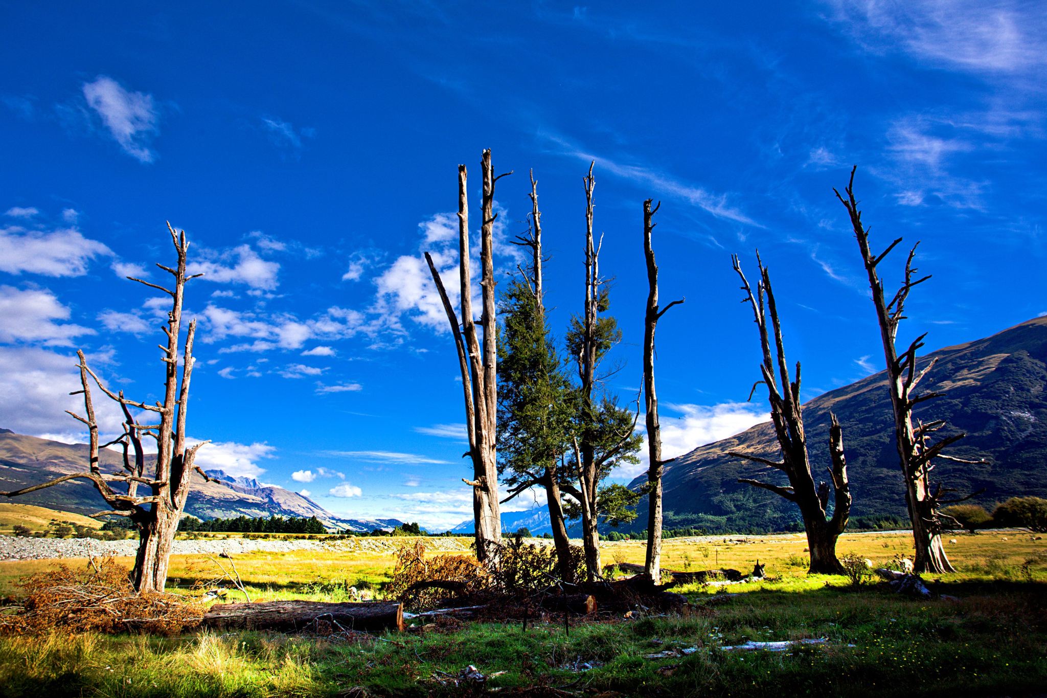 瓦卡蒂普湖+格林諾奇+天堂鎮一日遊【打卡魔戒取景地】