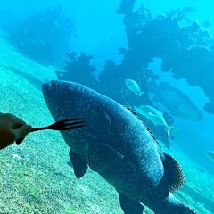 Aqua - Aquarium Restaurant User Photo