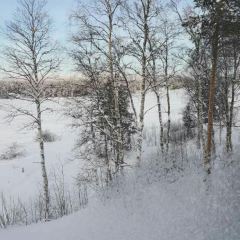 Hotel Inari User Photo