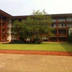 BODHI TERRACE User Photo