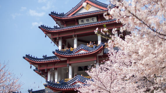 無錫日遊