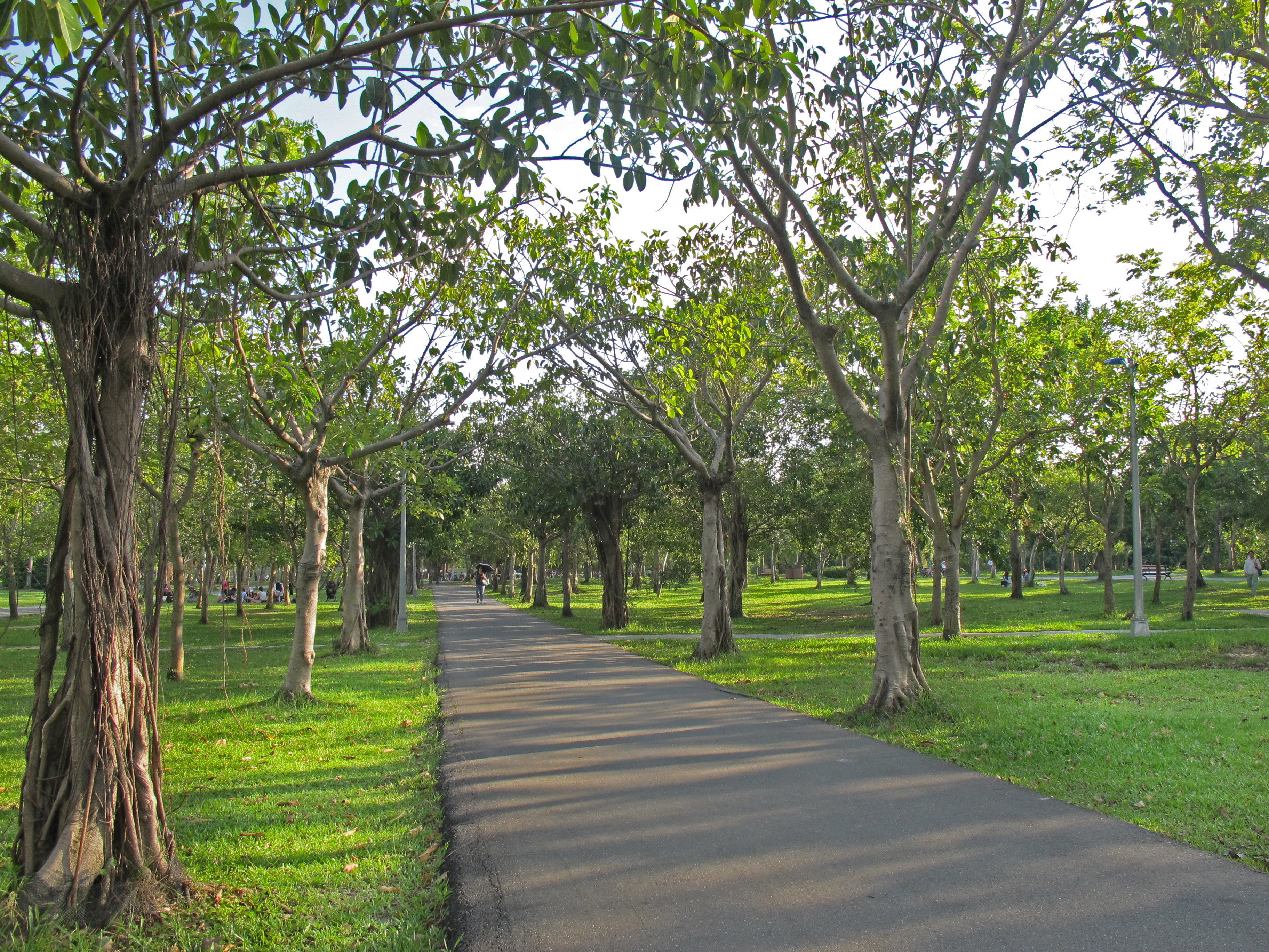 Daan Park