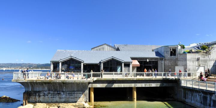 Monterey Bay Aquarium