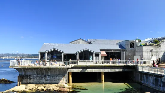 蒙特雷灣水族館