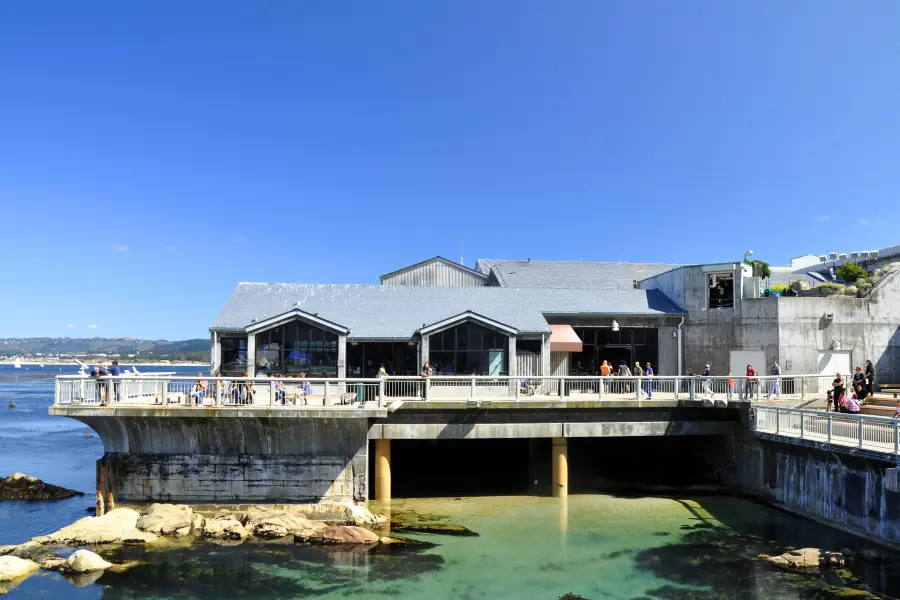 蒙特雷灣水族館