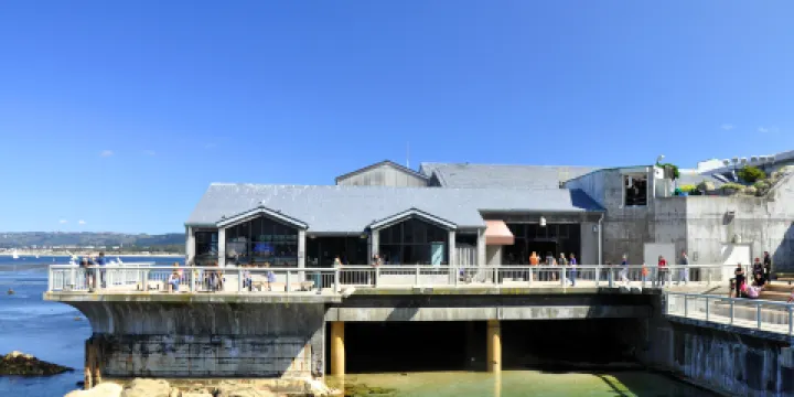蒙特雷灣水族館