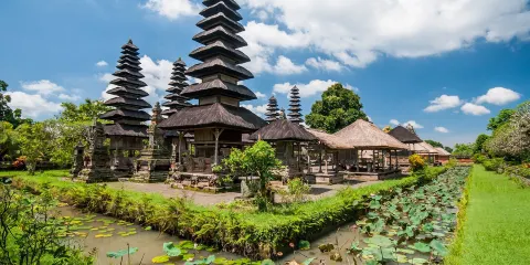 峇里島烏布：烏布皇宮+聖泉寺+梯田+聖猴森林公園一日遊