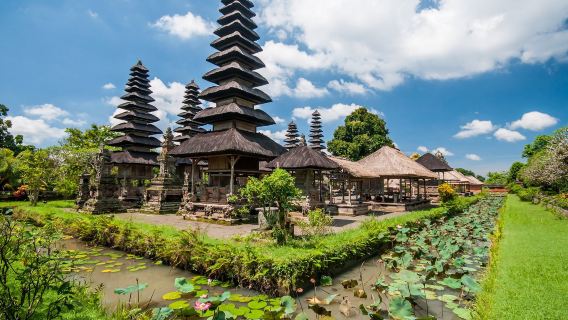 Ubud, Bali: Day Tour of Ubud Palace, Tirta Empul, Rice Terraces, and Monkey Forest