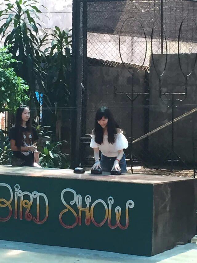 蘇梅水族館和老虎園