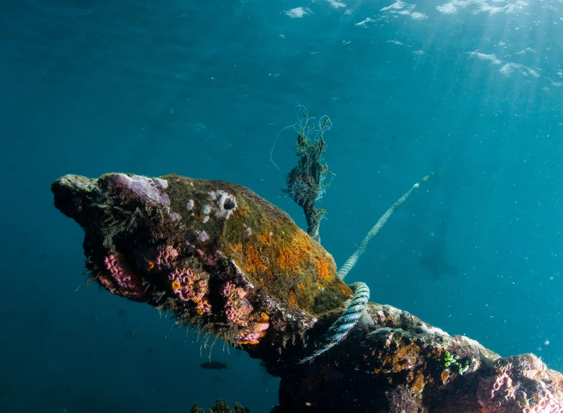 3_“自由號”沉船