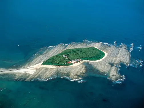 青島