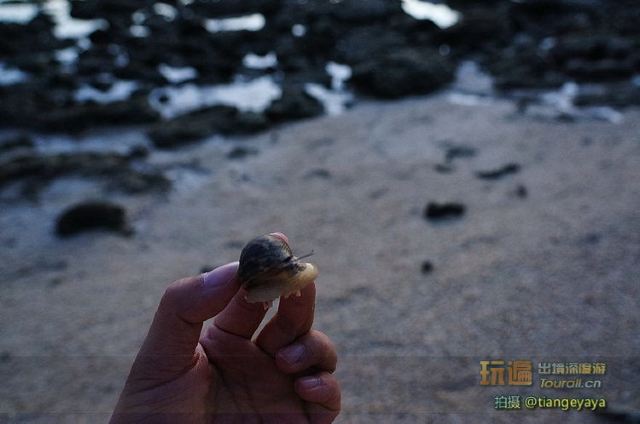 海龜島國家公園