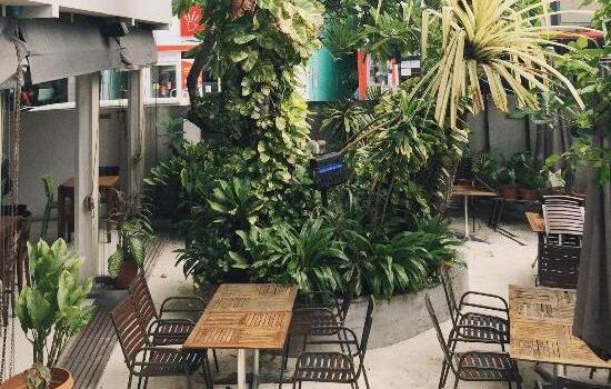 Seagull Cafe House