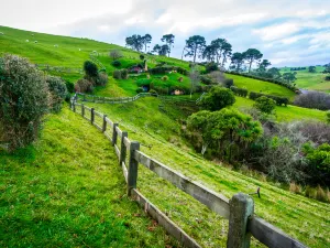 Hobbiton™ Movie Set